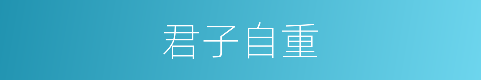 君子自重的同义词