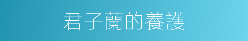 君子蘭的養護的同義詞