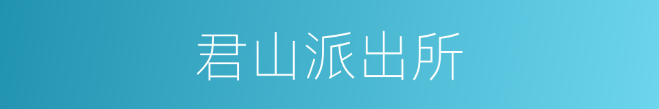 君山派出所的同义词