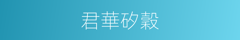 君華矽穀的同義詞