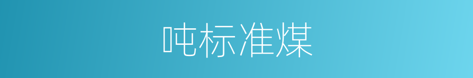 吨标准煤的同义词