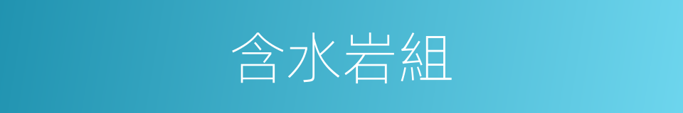 含水岩組的同義詞