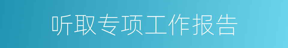听取专项工作报告的同义词