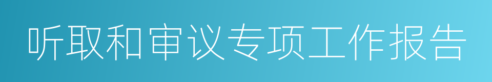 听取和审议专项工作报告的同义词