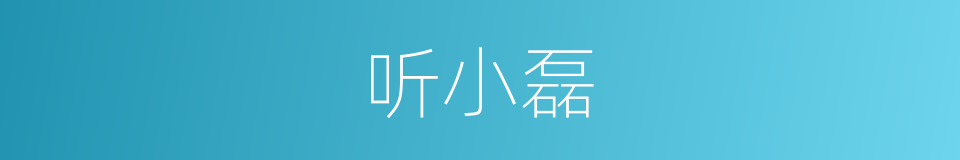 听小磊的同义词