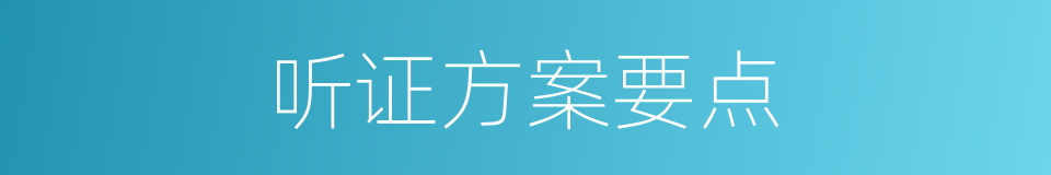 听证方案要点的同义词