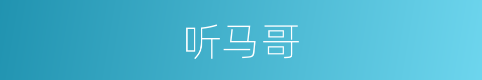 听马哥的同义词