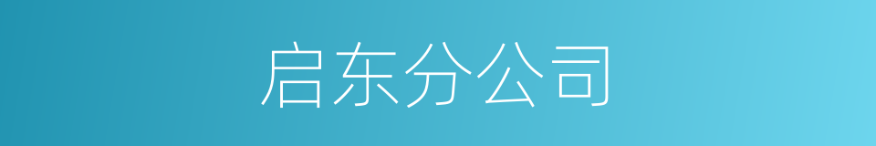 启东分公司的同义词