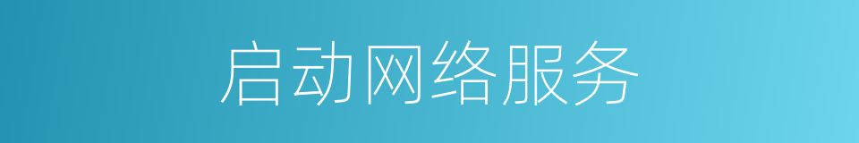 启动网络服务的同义词