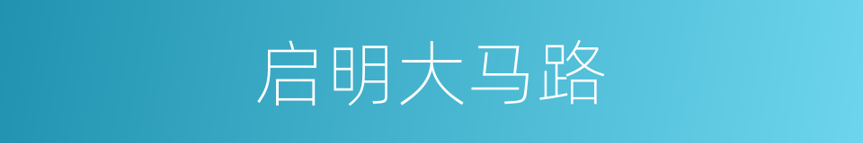 启明大马路的同义词