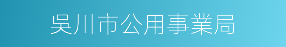 吳川市公用事業局的同義詞