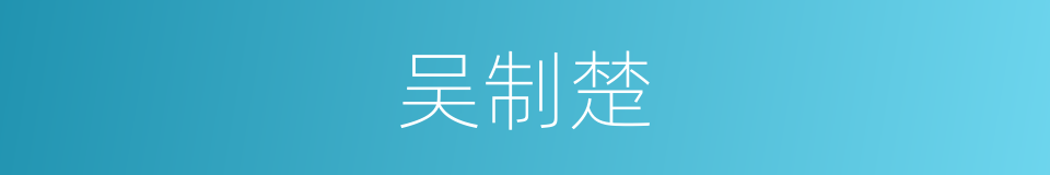 吴制楚的同义词