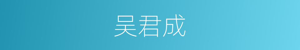 吴君成的同义词