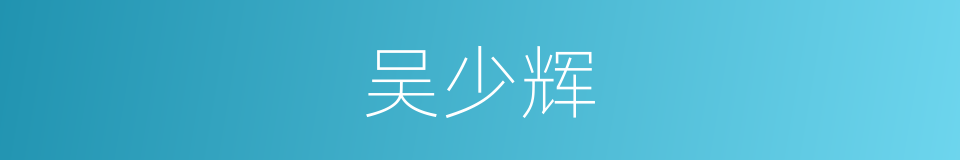 吴少辉的同义词