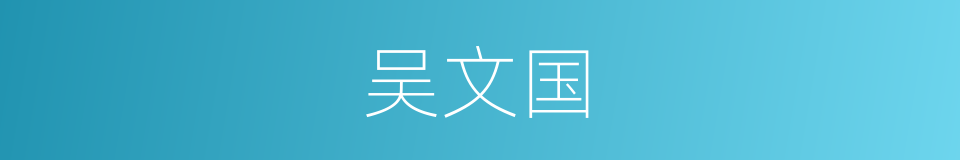 吴文国的同义词