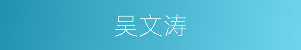 吴文涛的同义词