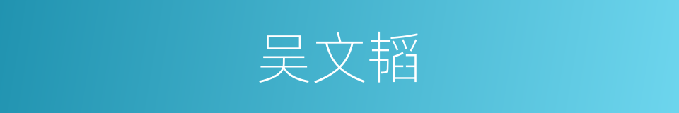吴文韬的同义词
