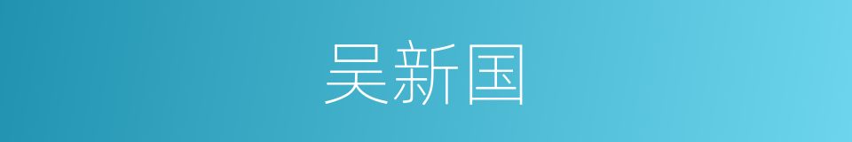 吴新国的同义词