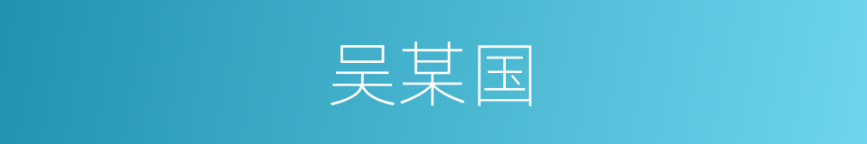 吴某国的同义词