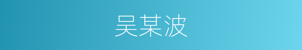 吴某波的同义词