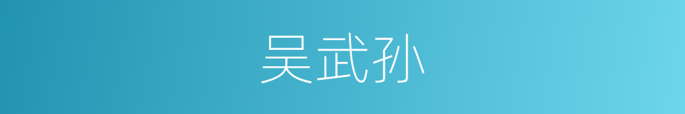 吴武孙的同义词