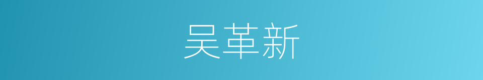 吴革新的同义词