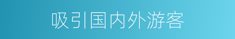 吸引国内外游客的同义词