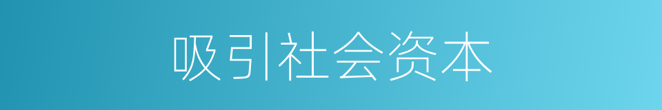 吸引社会资本的同义词