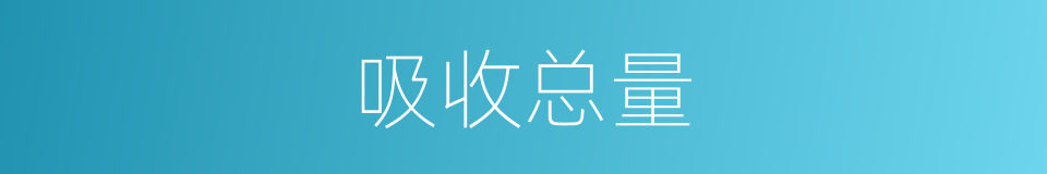 吸收总量的同义词