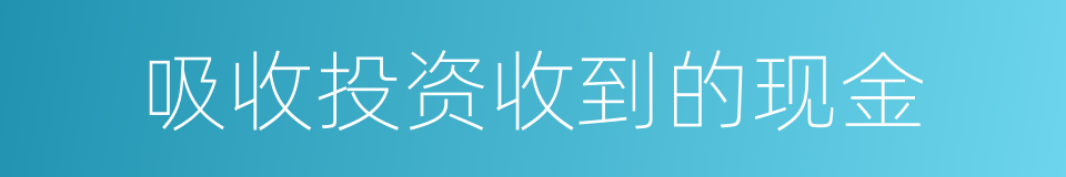 吸收投资收到的现金的同义词