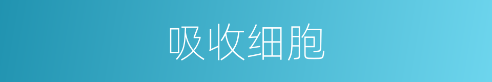 吸收细胞的同义词
