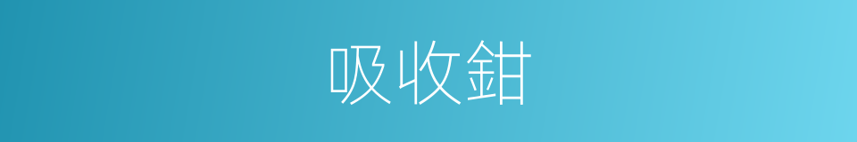 吸收鉗的同義詞