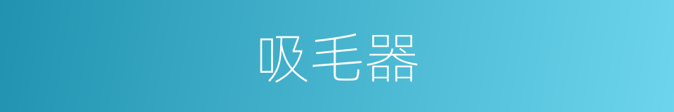 吸毛器的同义词