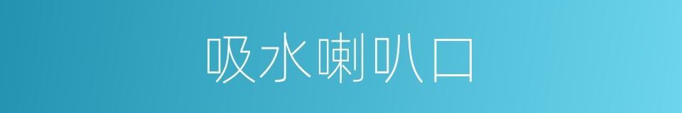 吸水喇叭口的同义词