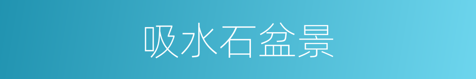 吸水石盆景的同义词
