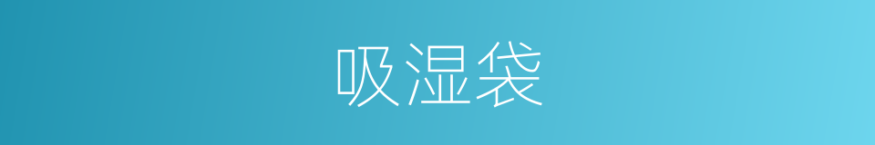 吸湿袋的同义词