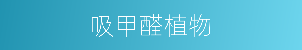 吸甲醛植物的同义词