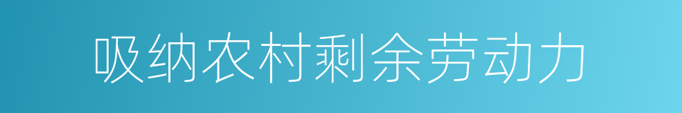 吸纳农村剩余劳动力的同义词