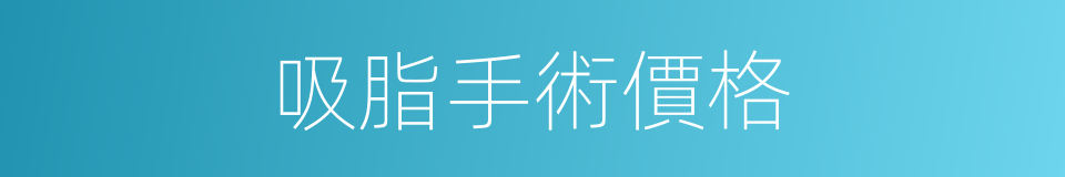 吸脂手術價格的同義詞