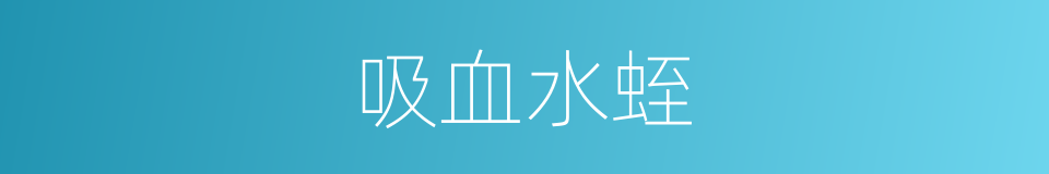 吸血水蛭的同义词