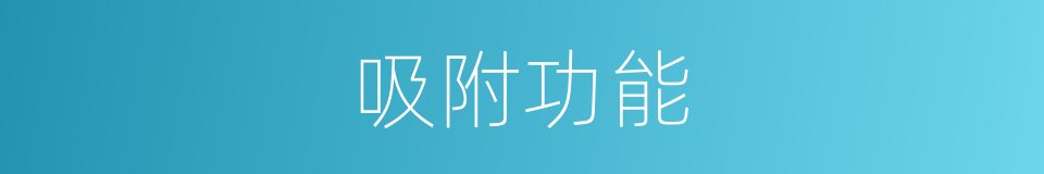 吸附功能的同义词