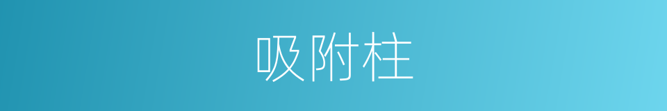 吸附柱的同义词