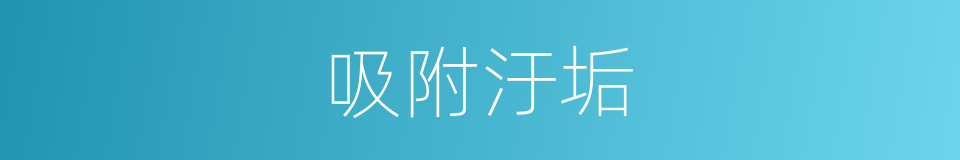 吸附汙垢的同義詞