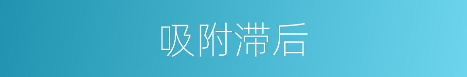 吸附滞后的同义词