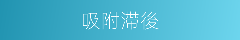 吸附滯後的同義詞