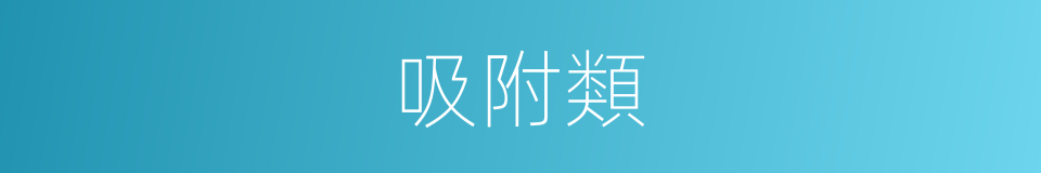 吸附類的同義詞