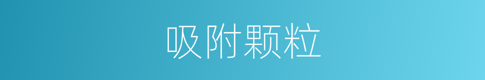 吸附颗粒的同义词
