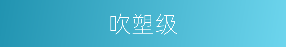 吹塑级的同义词