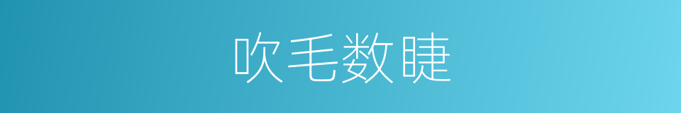 吹毛数睫的意思