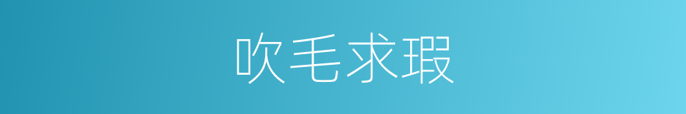 吹毛求瑕的意思